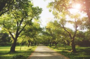 Straight Path Counselling offers abbotsford counselling for couples, exploring the avoidant and anxious attachment styles.