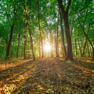 Straight Path Counselling offers addiction counselling
