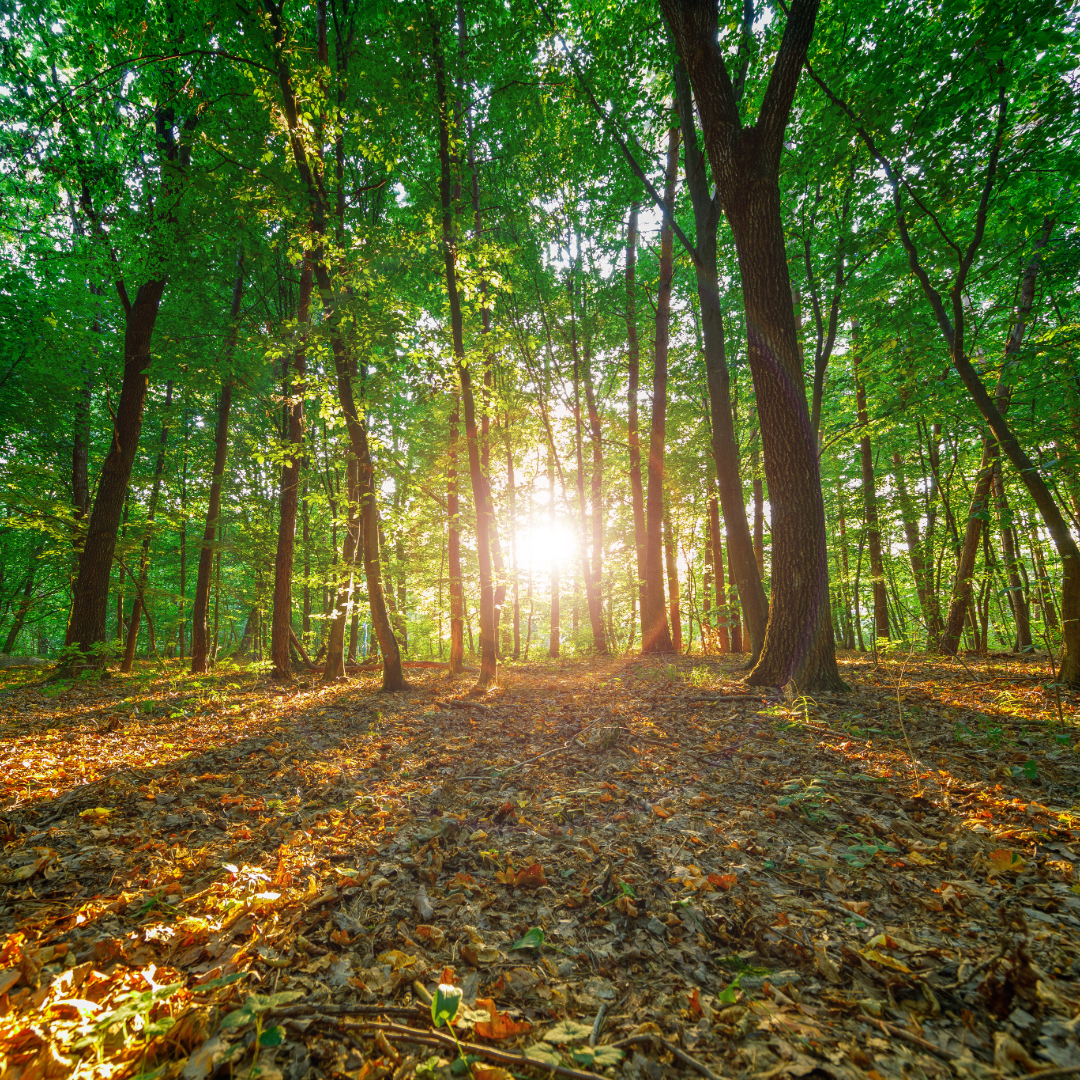 Straight Path Counselling offers addiction counselling