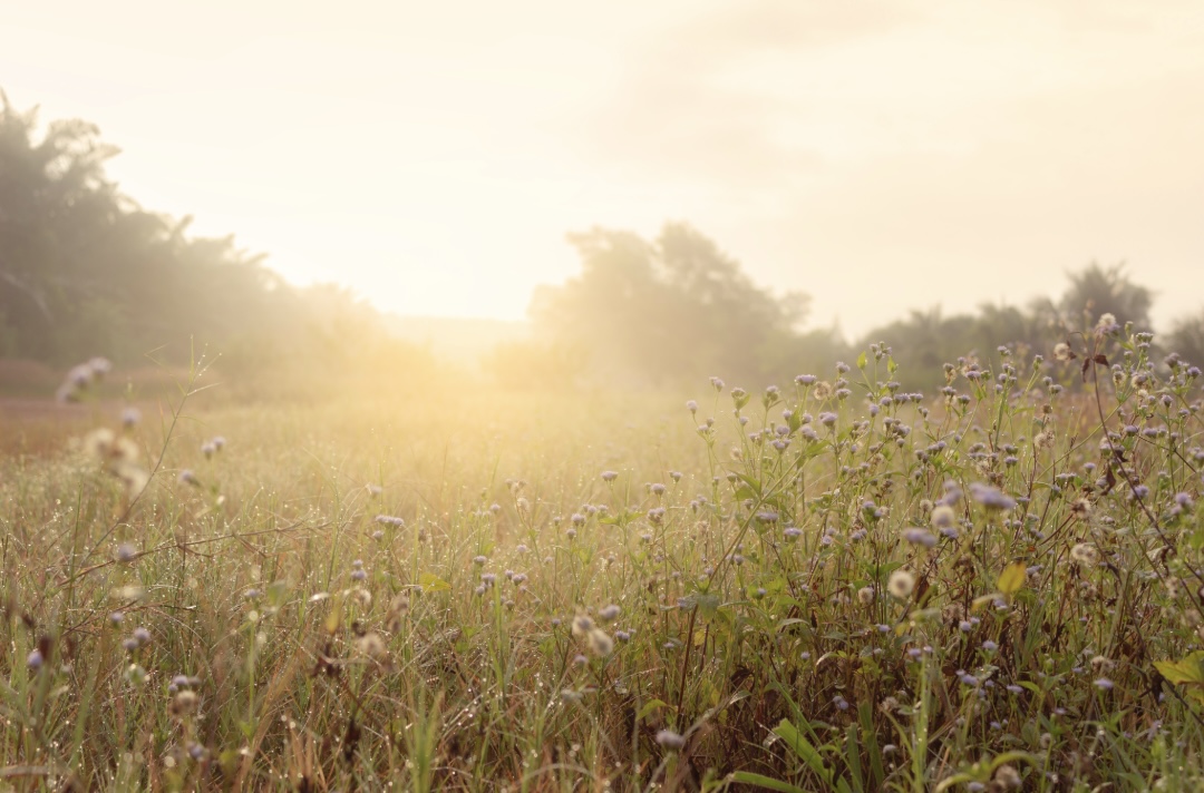 Mindfulness therapy for anxiety and stress at Straight Path Counselling.