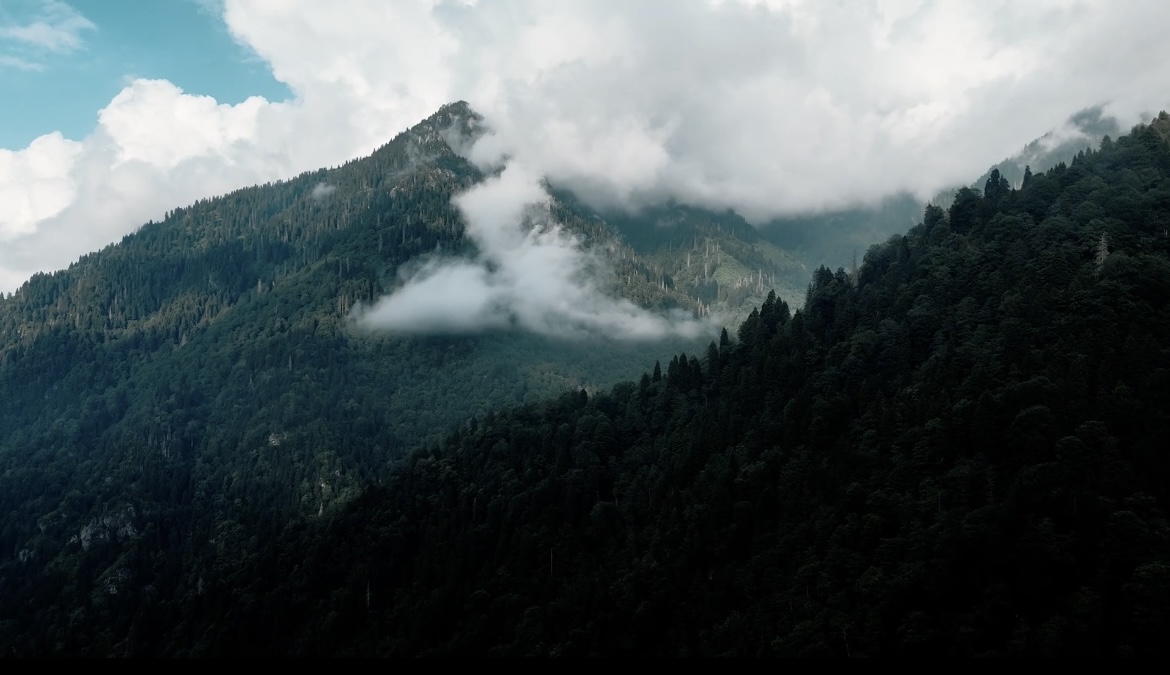 ADHD counselling at Straight Path Counselling.