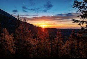 Online counselling in Abbotsford