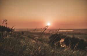 Abbotsford counselling for self-esteem.