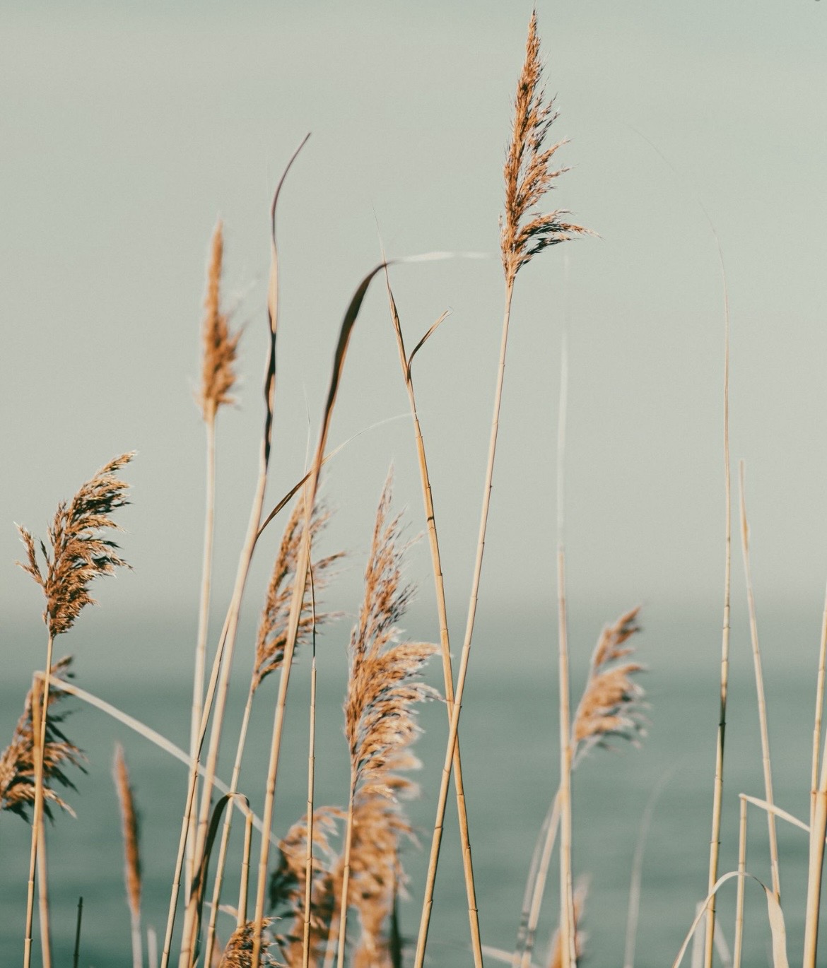 Anxiety counselling at Straight Path Counselling.