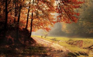 Counselling for ADHD & anxiety available at Straight Path Counselling.